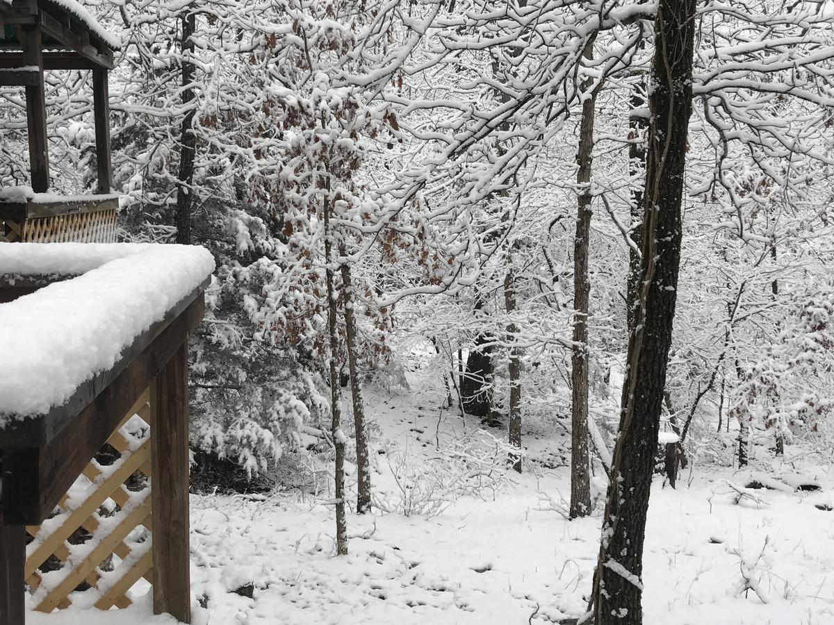 Norfork Lake Ozark Mountain Lodge Gamaliel Εξωτερικό φωτογραφία